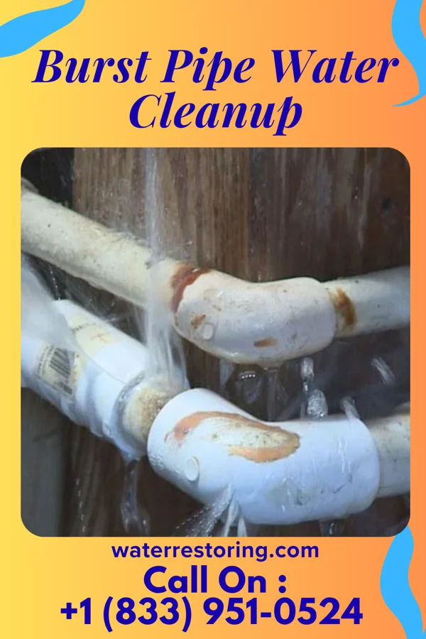 Burst Pipe Water Cleanup in Chalfant, CA