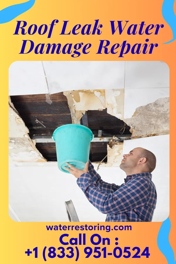 Roof Leak Water Damage Repair in Chalfant, CA